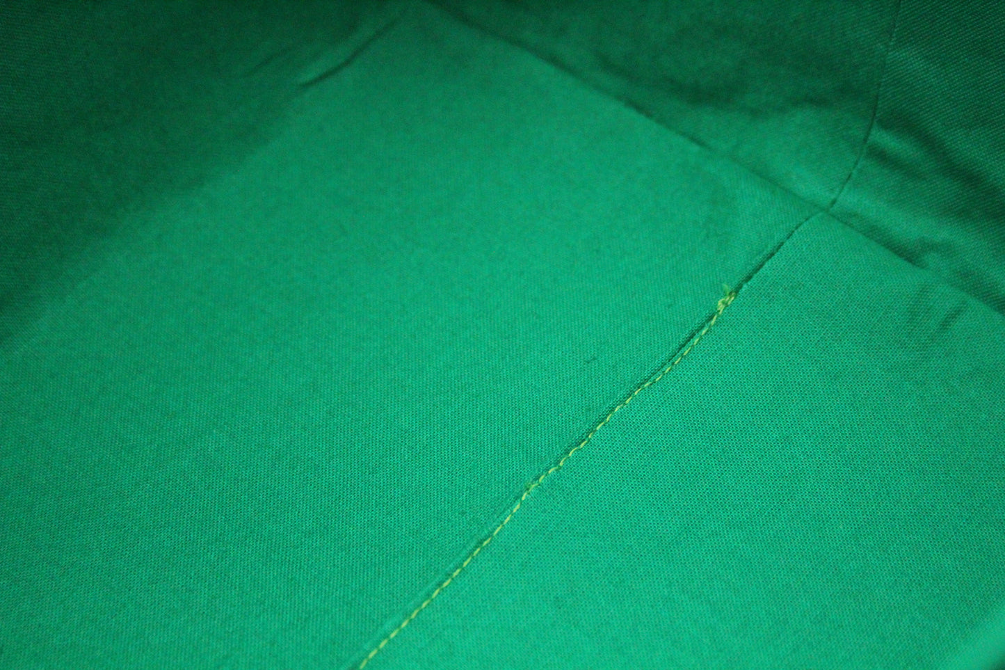 Leaves Project Bag