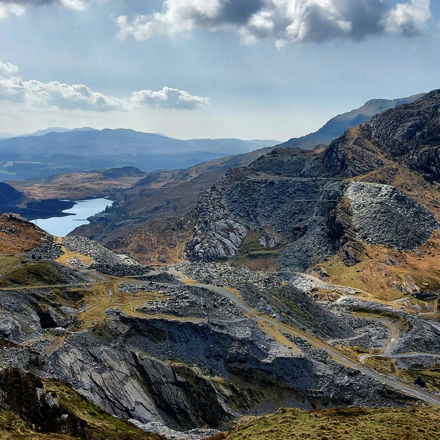 Hairy Dog Crafts GIFT CARD